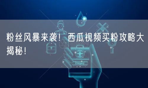 粉丝风暴来袭！西瓜视频买粉攻略大揭秘！