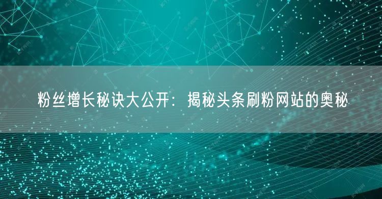 粉丝增长秘诀大公开:揭秘头条刷粉网站的奥秘