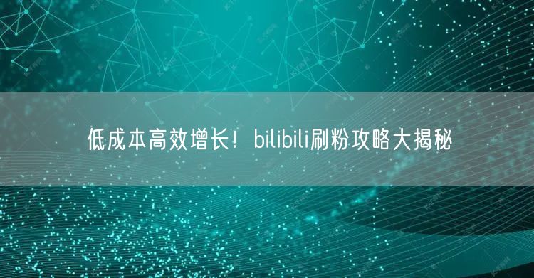 低成本高效增长！bilibili刷粉攻略大揭秘