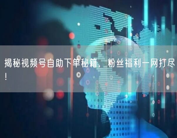 揭秘视频号自助下单秘籍，粉丝福利一网打尽！