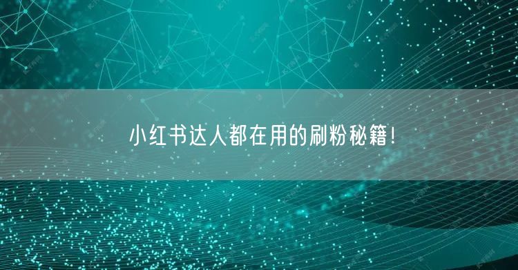 小红书达人都在用的刷粉秘籍！