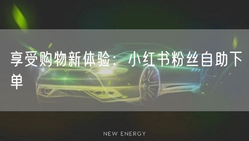 享受购物新体验：小红书粉丝自助下单