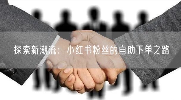 探索新潮流：小红书粉丝的自助下单之路