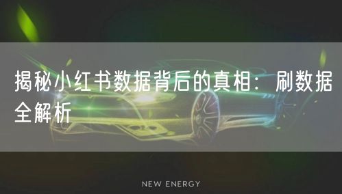 揭秘小红书数据背后的真相：刷数据全解析