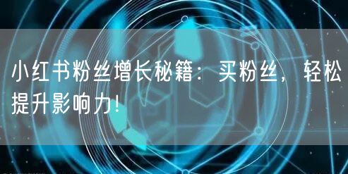 小红书粉丝增长秘籍：买粉丝，轻松提升影响力！