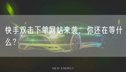 快手双击下单网站来袭,你还在等什么?