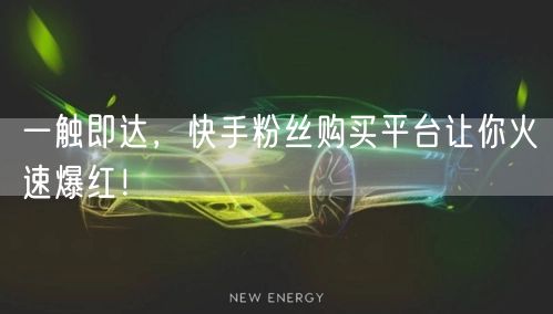 一触即达，快手粉丝购买平台让你火速爆红！