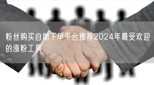 粉丝购买自助下单平台推荐2024年最受欢