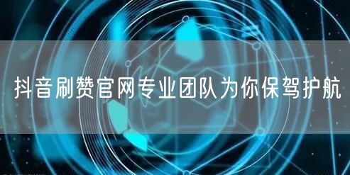 抖音刷赞官网专业团队为你保驾护航